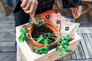 Repräsentative Umfrage im Auftrag von NESPRESSO gibt Einblicke in die Gartenpläne der Österreicher:innen