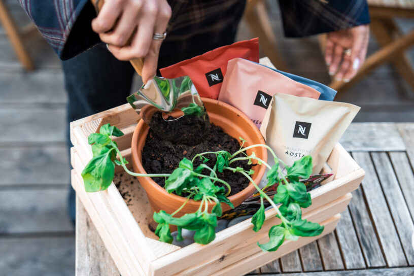 Repräsentative Umfrage im Auftrag von NESPRESSO gibt Einblicke in die Gartenpläne der Österreicher:innen